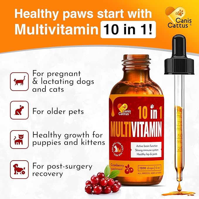 Liquid Cat & Dog Vitamins – Dog Antibiotics for All Pets – Bundle of 10 in 1 Cat & Dog Multivitamin + Antibiotic Supplement – Cough, Allergy, Sneezing, Joint Care – Vitamin C, D, B – Bottle Set x 2 oz