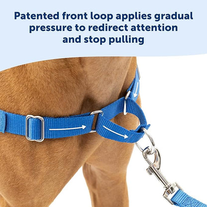 PetSafe Easy Walk Harness for Dogs - Pull-Free Walks - Patented Martingale Loop Design - Front Chest Leash Attachment - Adjustable Comfort Straps - Breathable Harness Design - Medium, Raspberry/Gray