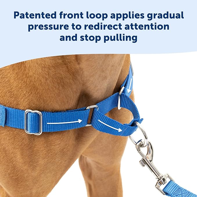 PetSafe Easy Walk No-Pull Dog Harness - The Ultimate Harness to Help Stop Pulling - Take Control & Teach Better Leash Manners - Helps Prevent Pets Pulling on Walks, Medium, Royal Blue/Navy Blue