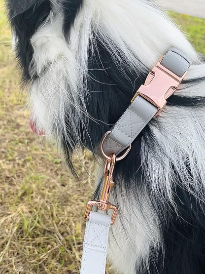 Dog Collar and Leash Set.Soft and Easy to Clean Vegan Leather with Rose Gold Metal Buckle for Small Medium Large Dogs (Grey, XS(8"-12"))