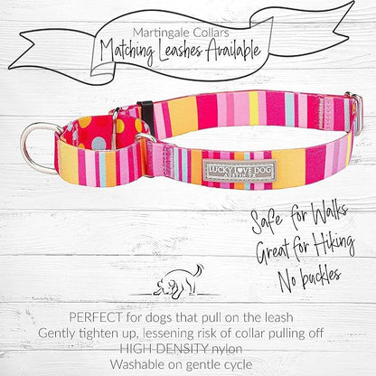 Lucky Love Dog Martingale Dog Collar & Leash - Adjustable, No-Slip, Durable, Comfortable, Soft Webbing, & Stylish Patterned Collar & Leash Set for Male and Female Dogs - Molly Combo, Small
