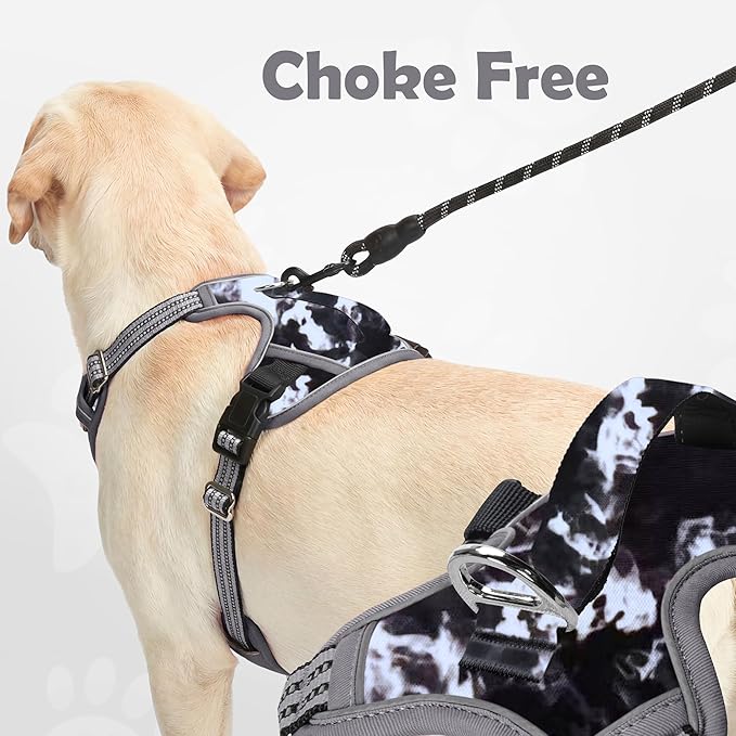 Funfox Dog Harness No Pull, Adjustable Pet Vest Harness, Super Soft Material with Vertical Handle Easy Control, Reflective Night Walking, 2 Leash Clips for Small Sized Dogs, Misty Gray, S