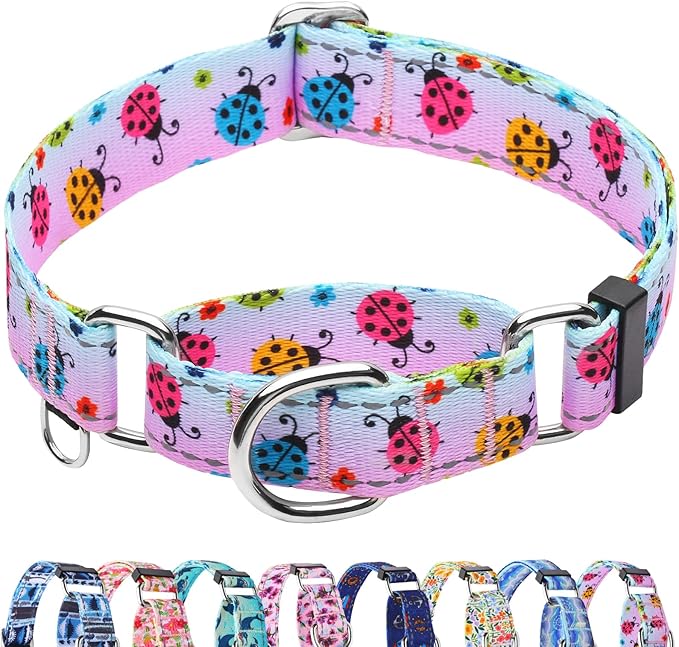 Reflective Martingale Collar for Dogs Nylon Training Collar with No Buckle, No Pull Adjustable Dog Collar for Large Dogs（Gradient Ladybug，L）