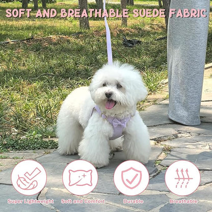 Guiding Star Dog Harness Small Sized Dog with Multifunction Leash, No Pull Puppy Dog Harness and Leash Set Training, Cute Soft Adjustable Dog Walking Harness Pet Vest Harness (Purple-XXS)