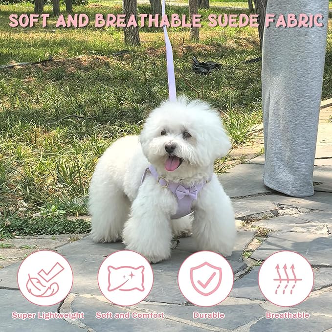 Guiding Star Dog Harness Small Sized Dog with Multifunction Leash, No Pull Puppy Dog Harness and Leash Set Training, Cute Soft Adjustable Dog Walking Harness Pet Vest Harness (Purple-S)