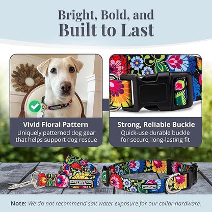 Lucky Love Dog - Easy Click Buckle Dog Collar with Leash Set Combo, Durable & Comfortable for Male & Female Dogs, Pet Collar for Large Dogs, Secure Fit - Blackbird Combo, Large