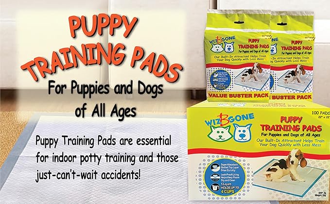 Scoochie Pets Large Dog Training Pads - 12 Pack Puppy Pads, 22 x 22 Absorbent Sheets for Adult & Young Pets - Convenient Box of Leak-Proof Pee Pads for Dogs, Ideal for Home & Travel