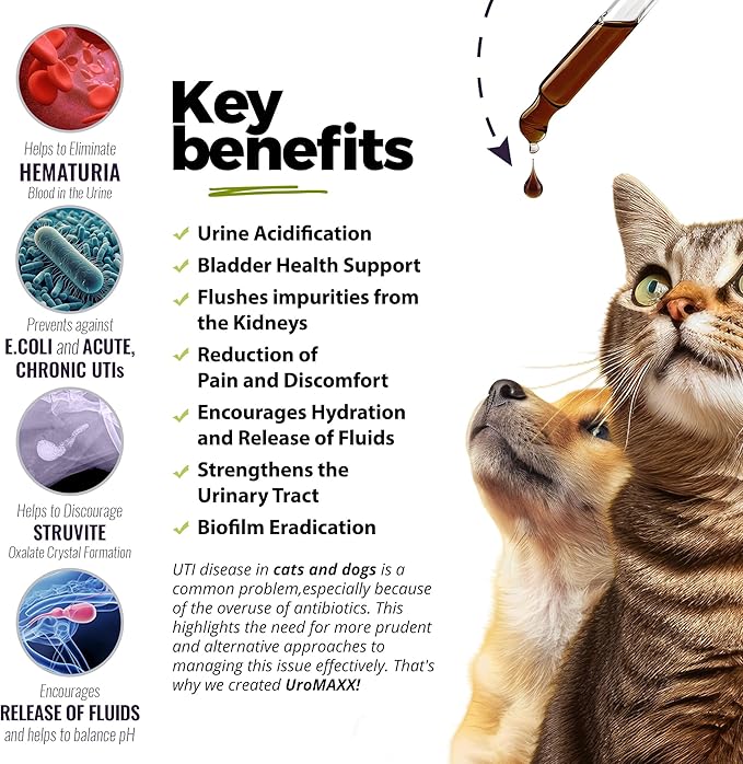 UroMAXX Urinary Tract, UTI, Kidney & Bladder Formula for Cats and Dogs, 6 oz Bottle, (2 Pack)