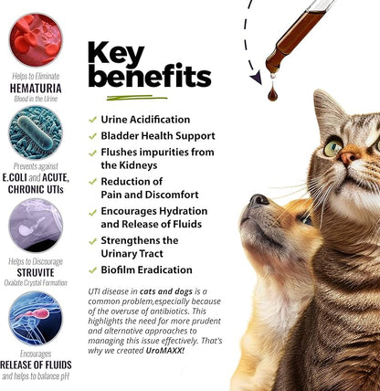 UroMAXX, Cat & Dog Urinary Tract Treatment, Bladder & Kidney Support for Dogs and Cats, Powerful Yet Gentle Pet Care, with Liquid Cranberry & Glucosamine, Chicken Flavor, 6 oz Bottle, 3 Pack
