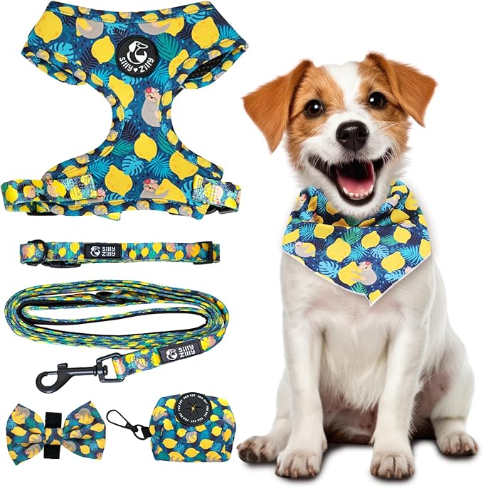 No Pull Harness and Leash Set - 6-in-1 Adjustable Vest Harness and Collars for Medium and Large Dogs. (Lemon, Extra Small)