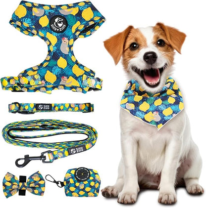 No Pull Harness and Leash Set - 6-in-1 Adjustable Vest Harness and Collars for Medium and Large Dogs. (Lemon, Large)