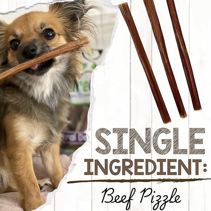 Nature Gnaws Super Skinny Bully Sticks for Small Dogs 5-6" (15 Count) - Long Lasting for Light Chewers and Puppies - Extra Thin Natural Beef Dog Chew Treats