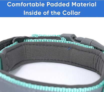 Pawtitas Lumberjack Padded Martingale Collar for Dogs | Soft Neoprene Dog Collar for Your pet's Comfort Made with Reflective Band for Maximum Visibility | Fits Small and Large Pets - Medium Teal