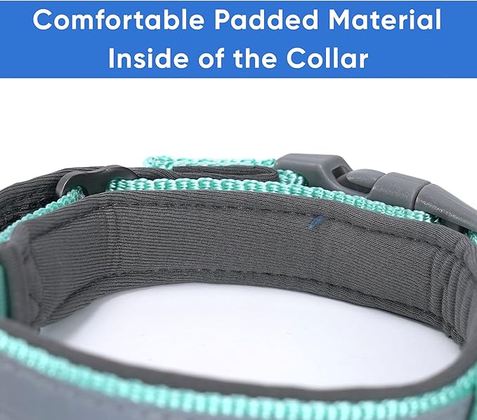 Pawtitas Lumberjack Padded Martingale Collar for Dogs | Soft Neoprene Dog Collar for Your pet's Comfort Made with Reflective Band for Maximum Visibility | Fits Small and Large Pets - Large Teal