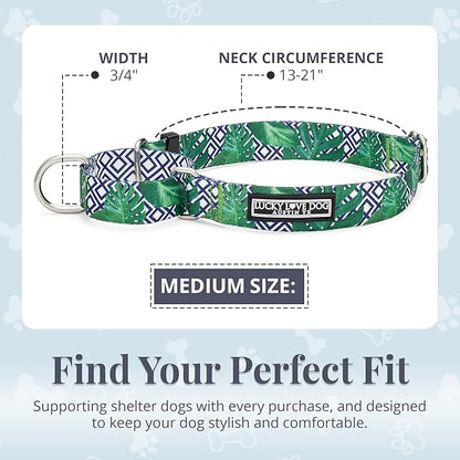 Lucky Love Dog Martingale Collar, Premium No Slip Martingale Collar for Medium Boy Dogs, Great for Whippets, Greyhounds, and More (Medium, Blue Laguna)