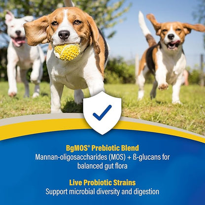 Doc Roy’s GI Synbiotics Probiotic & Prebiotic Supplemental Gel for Dogs & Cats, Digestive & Immune Health Supplement with Live Cultures, BgMOS & Beta Glucans, Chicken Flavor, 30ml Oral Gel