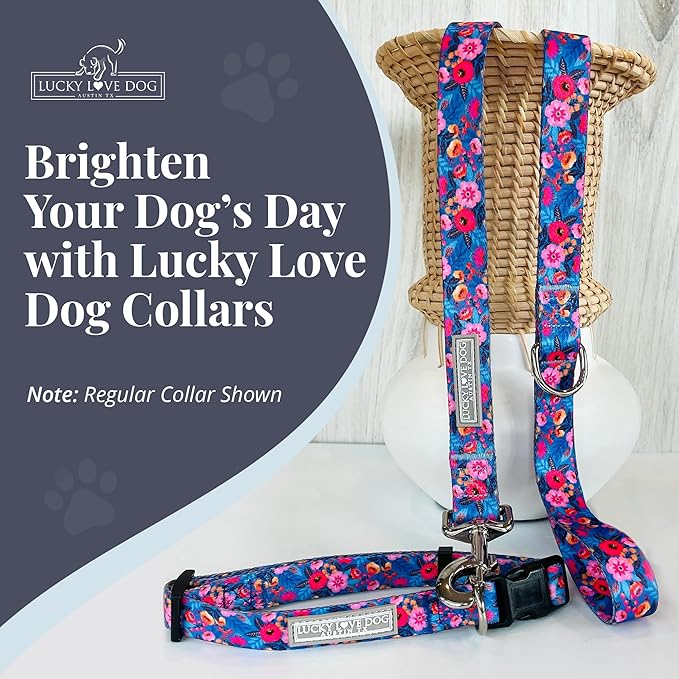 Lucky Love Dog Martingale Dog Collar & Leash - Adjustable, No-Slip, Durable, Comfortable, Soft Webbing, & Stylish Patterned Collar & Leash Set for Male and Female Dogs - Zuzu Combo, Small