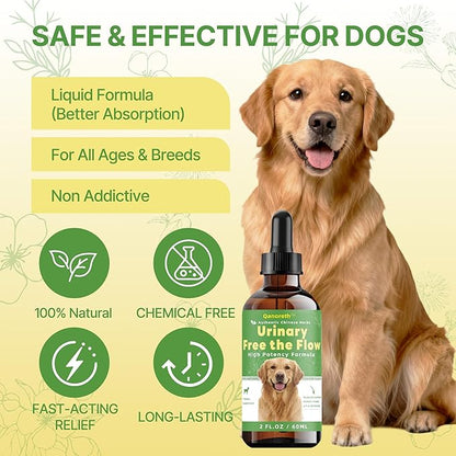 Bladder & Kidney Stones Dissolver for Dogs – Natural Dog UTI Treatment & Urinary Tract for Dogs, Stone and Crystals Fragment Flush & Prevention, Vet-Formulated Dog Urinary Tract Infection Support