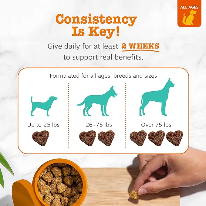 Zesty Paws Calming Chews for Dogs Composure & Relaxation for Everyday Stress & Separation Peanut Butter 90 Count