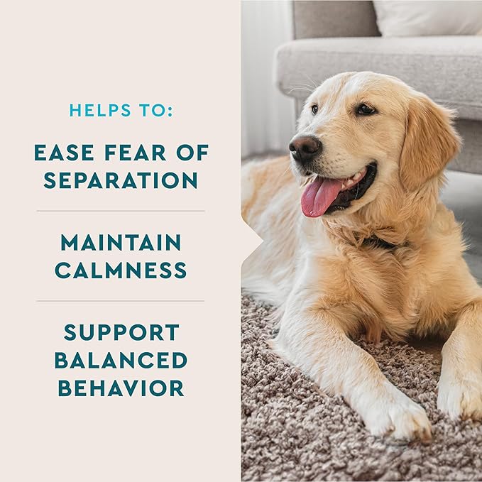 VetIQ Calming Support Supplement for Dogs, Calming Chews Help Manage Stress and Promote Relaxation, Anxiety Relief for Dogs, Made in the USA, 60 Count