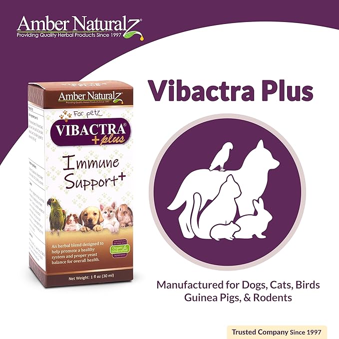 Amber NaturalZ Vibactra Plus Herbal Supplement for Dogs, Cats, Birds, Guinea Pigs, and Rabbits | Herbs for Immune Health and Yeast Balance | 1 Fluid Ounce Glass Bottle