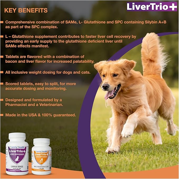 Comprehensive Liver Support Supplement for Large Dogs. Flavorful Chewable Tablets Combining Same, SPC, Silybin A+B, + Glutathione 30Ct (Large)