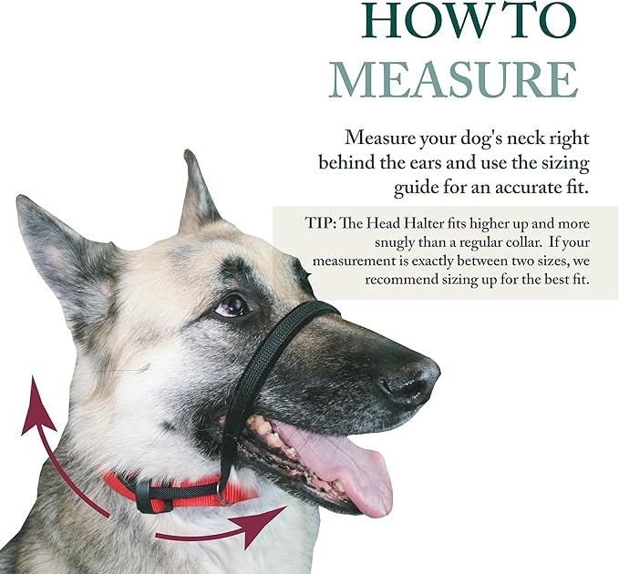 Sporn Head Halter for Dogs, No Pull Dog Harness, Durable Nylon Training Collar for Medium Breeds, No Choke Design, Padded Restraints, Adjustable Fit, Easy On/Off, Black, Medium