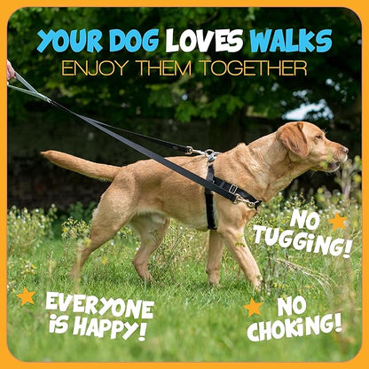 2 Hounds Design Freedom No Pull Dog Harness, Adjustable Harness, Easy Walking & Comfortable Control, Fits Small, Medium & Large Dogs, Solid Colors, Made in USA, 1" LG, Kelly Green