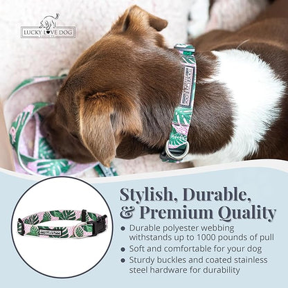 Lucky Love Dog Collars | Girl, boy Dog Collar for Small Medium Large Dogs - Comfortable, Soft, Cute - Laguna, Medium