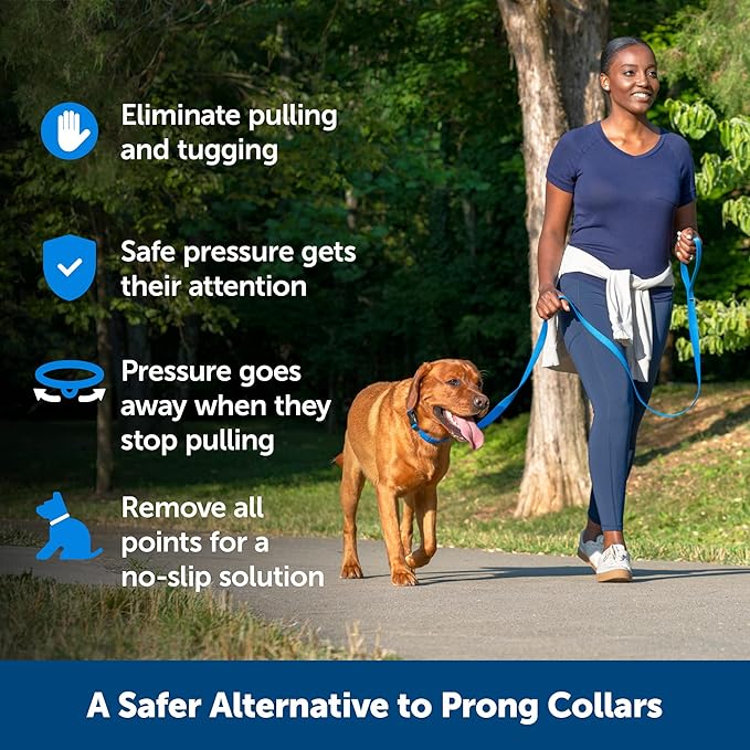 PetSafe Soft Point Training Collar - Comfortable No-Pull Adjustable Quick-Release Collar with Removable Soft Rubber Points - Pain-Free Training for Better Leash Manners - Medium - Blue