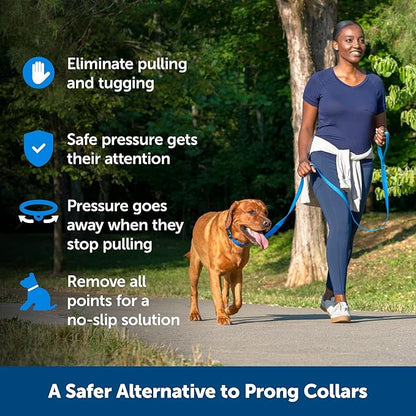PetSafe Soft Point Training Collar - Comfortable No-Pull Adjustable Quick-Release Collar with Removable Soft Rubber Points - Pain-Free Training for Better Leash Manners - Medium - Blue