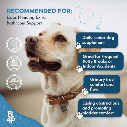 Dog UTI Treatment & Kidney Health Formula – Natural Dog Urinary Tract Supplements to Manage Urine Frequency & Leaks – Bladder Control Support for Urinary Incontinence & Renal Health – 2 Pack