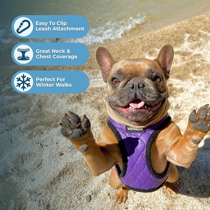 Best Pet Supplies - All Weather Plush, Reflective, No Pull Harness for Small, Medium Dogs, Cats - Secure with Hook & Loop Fastener, Buckle, Double D-Rings - Purple Faux Leather, S