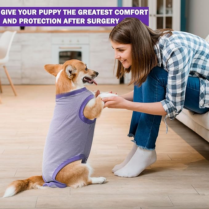 Dog Surgery Recovery Suit, Surgical Recovery Suit for Dog Male Female Neuter, Spay Shirt Onesie for Post Surgery, Cone Alternative Purple, Medium