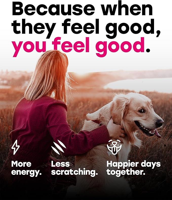 24-in-1 Daily Multivitamin Dog Chews – Joint, Skin & Coat, Digestion & Immunity Support – Glucosamine, Omega-3, Probiotics for Gut Health – PhD-Endorsed, 140 Chews, Beef Flavor