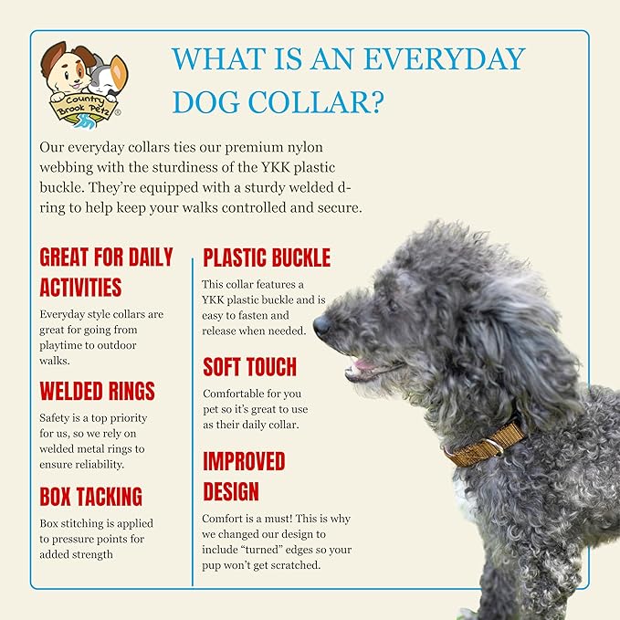 Country Brook Petz - Everyday Nylon Dog Collar for Large, Medium, and Small Dogs and Puppies - for Everyday Use in 10+ Warm Colors (3XS, 3/8 Inch Wide, Coyote Tan)