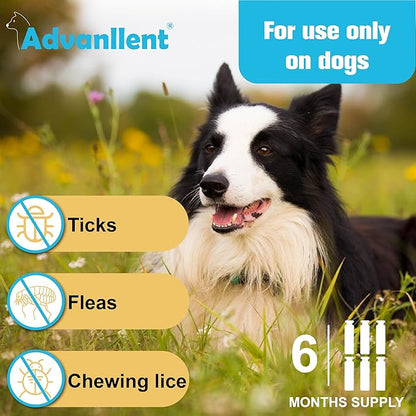 Flea and Tick Prevention for Dogs, Flea and Tick Treatment for Small Dog Puppy, Flea & Tick Control, 5-22 Pounds, 6 Doses