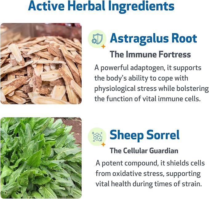 Pet Wellbeing Life Gold for Dogs - Supports Detoxification & Immune System Health with Astragalus & Sheep Sorrel - NASC Certified & Vet-Formulated - 4 oz Liquid Formula