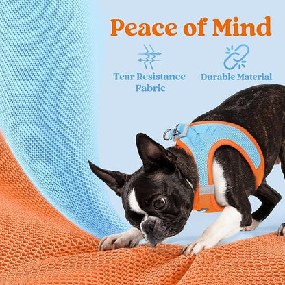 rabbitgoo Small Dog Harness, Step-in Soft Mesh Puppy Vest with Safety Buckle, Breathable Reflective Pet Harness for Extra Small Dogs, Blue & Orange XXS