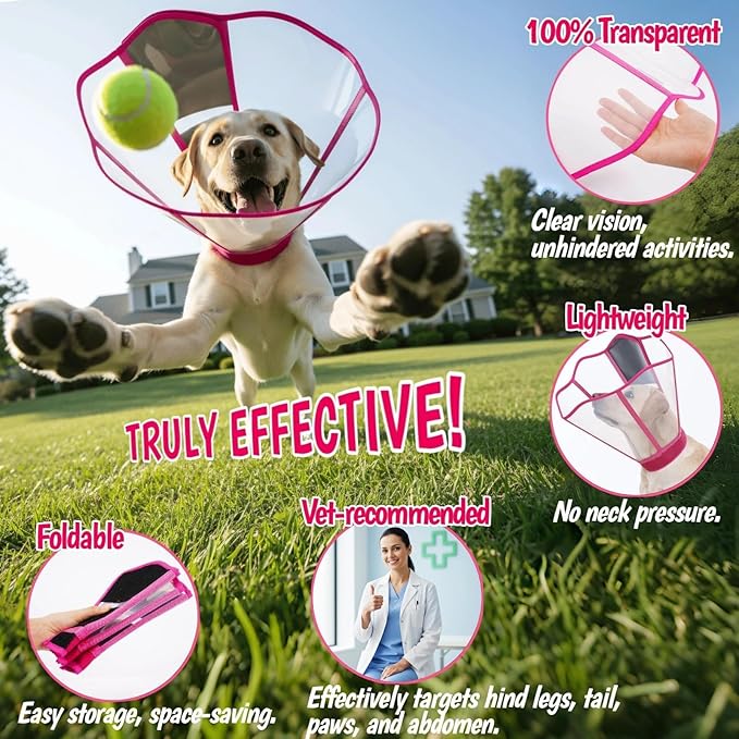 Adjustable Deep Dog Cone Collar for Dogs to Stop Licking, Soft Transparent E Collar for Medium Dogs After Surgery, Comfort Wound Recovery Cones with Padding, Foldable & Easy-Clean Pet Cone(Rosered, M)