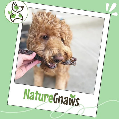 Nature Gnaws Braided Bully Twists for Dogs 5-6" (3 Count) - Long Lasting for Small and Medium Dogs - Natural Beef Dog Chew Bones
