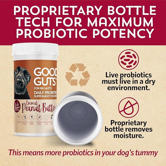 Fidobiotics Good Guts for Big Mutts Probiotic for Dogs, 12 Billion CFUs, 11 Strains, 5 Digestive Enzymes, 2 Prebiotics, Digestive Gut Health for Dogs, Adult & Puppy Probiotics Supplements, Pack of 2