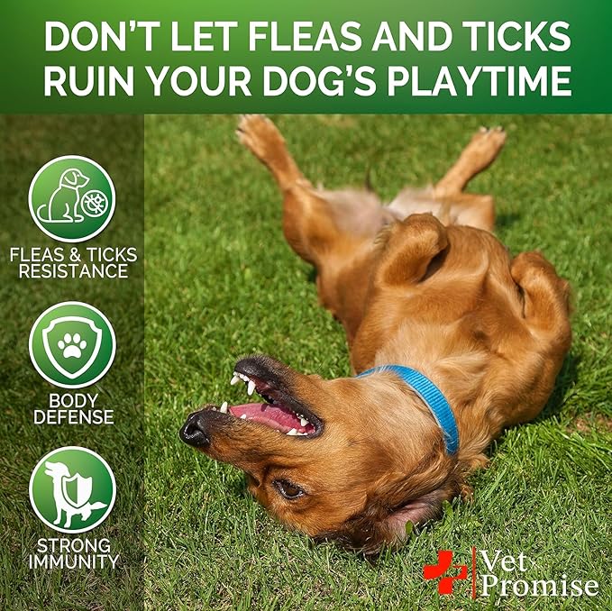 Flea and Tick Prevention for Dogs Chews - Natural Dog Flea and & Tick Control - Advanced Oral Pills Supplement Treatment for All Breeds & Size - Vet Formulated - Soft Chewables - Made in USA