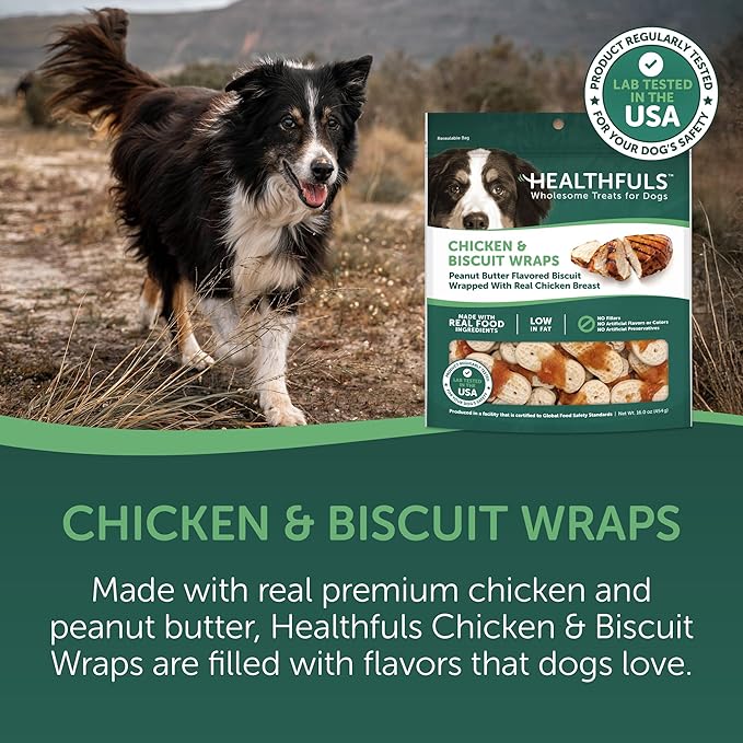 HEALTHFULS Chicken & Peanut Butter Flavored Dog Biscuits,16oz,(Pack of 2)