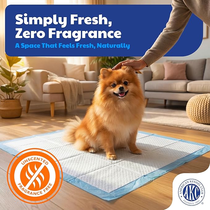 American Kennel Club Puppy Training Pads with Ultra Absorbent Quick Dry Gel – 22 x 22 Pee Pads for Dogs - 100 Count (Unscented)