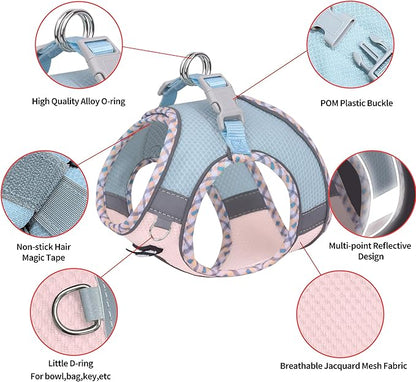 AIITLE Dog Harness and Leash Set - Ultra-Comfortable XXS-XL Vest with Strong Magic Tape & Glow-in-Dark Reflective Strips, Chafe-Free for Teddy, Schnauzer (Blue-Pink, M)
