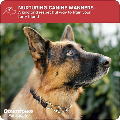 Downtown Pet Supply Chrome Plated/Nylon Prong Collar for Dogs, Medium - Adjustable, No-Choke and No Pull Dog Collar with Removable Links - Pinch Collar for Dogs 20-40 lbs and 20" Neck Width