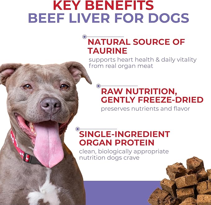 Momentum Carnivore Nutrition Freeze-Dried Beef Liver Dog Treats & Cat Treats – Single-Ingredient, High-Protein, Grain-Free, Nutrient-Rich – Made in USA – 4 oz Bag