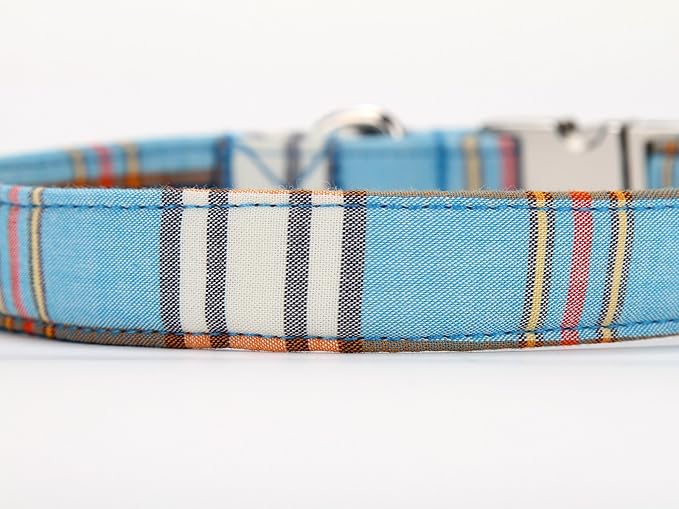 Lionet Paws Dog Leash,Handmade Dog Training Leash Pet Supply Large (Pack of 1)