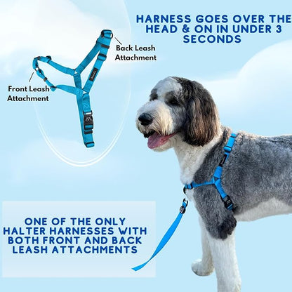 ShawnCo Dream Walk No-Pull Dog Harness- Adjustable, Comfortable, Easy to Use Pet Halter to Help Stop Pulling for Small, Medium and Large Dogs- Art Pattern Designs (Wolf Moon, M)